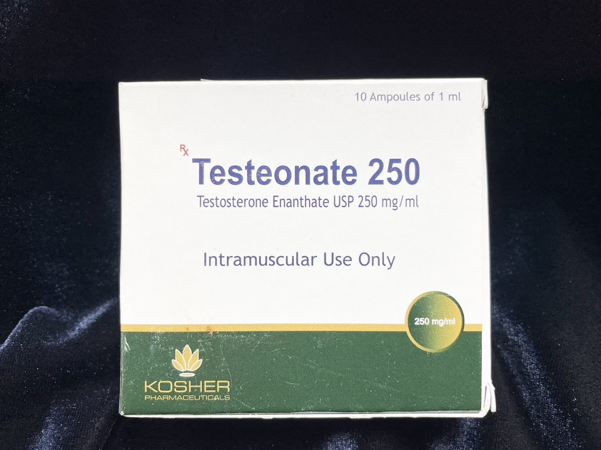 TESTEONATE 250 (Testosterone Enanthate 250mg/ml) 1ml x 10 ampule (Kosher)